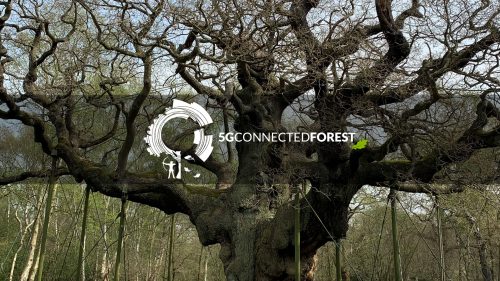5G Connected Forest Gooii AR and VR Apps