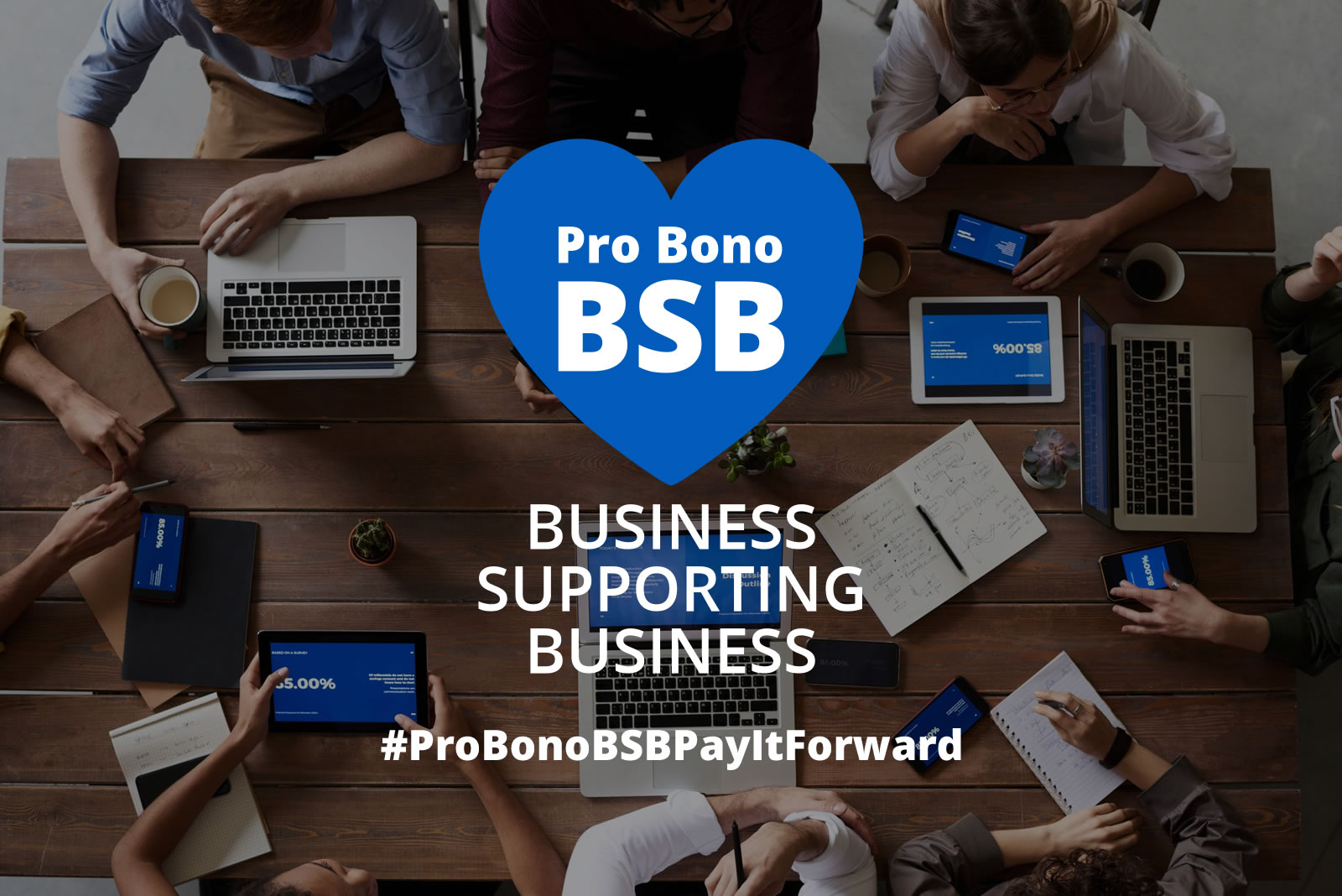 Pro Bono Business Supporting Business image